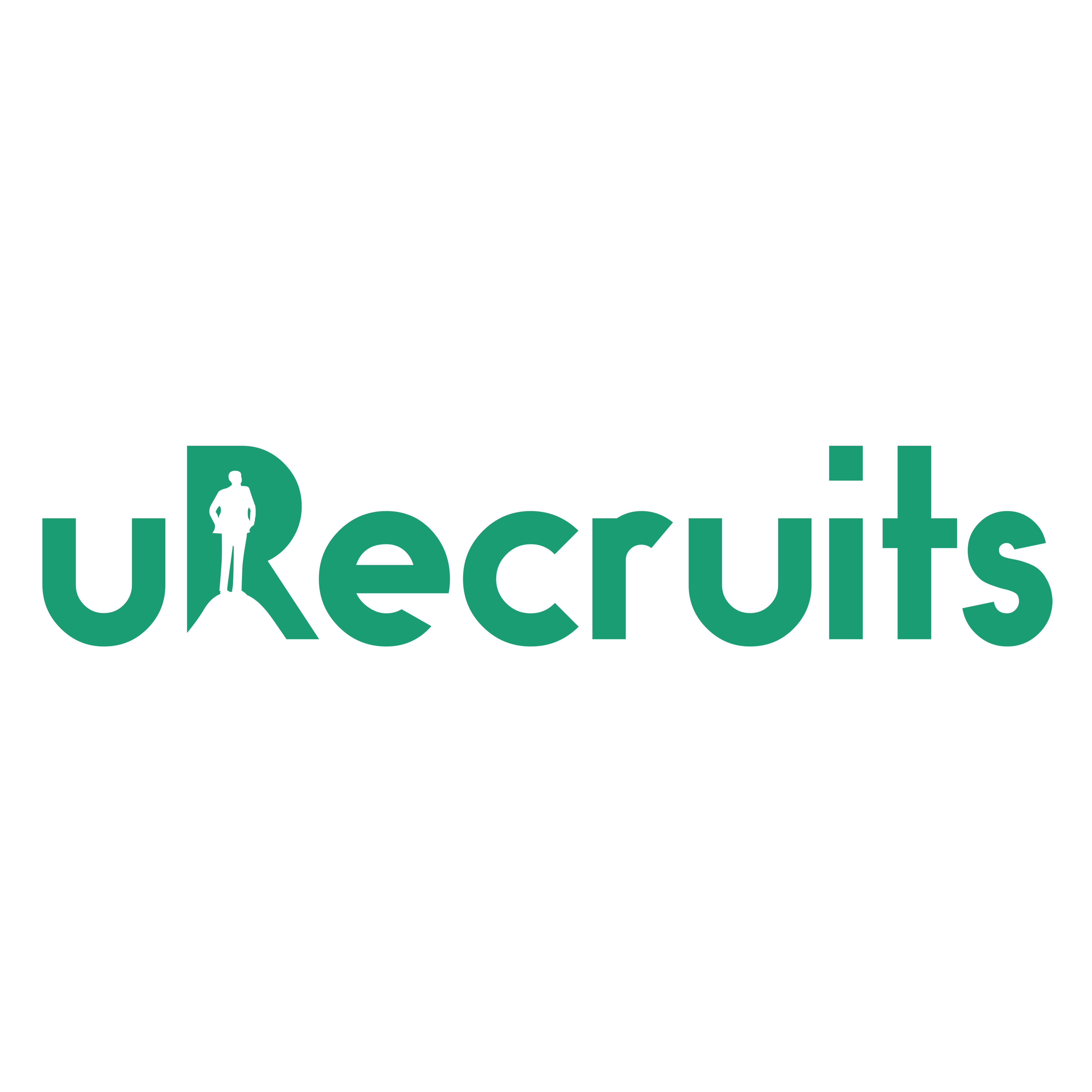 Software Developer